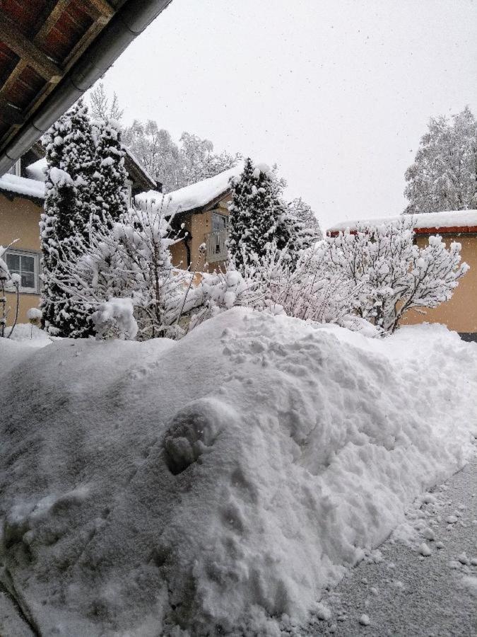 Ferienwohnung Pietzavka Wiesenfelden المظهر الخارجي الصورة