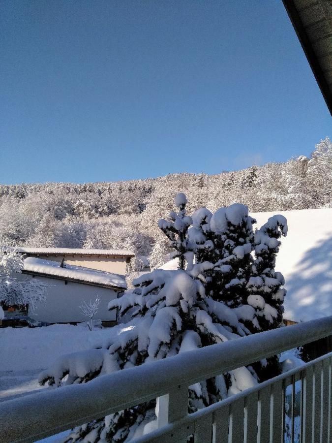 Ferienwohnung Pietzavka Wiesenfelden المظهر الخارجي الصورة