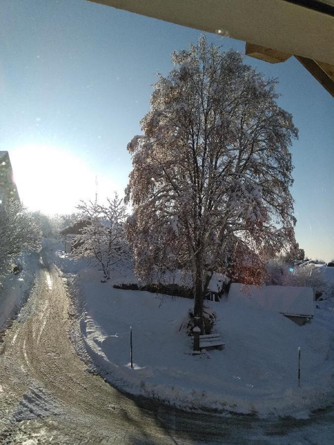 Ferienwohnung Pietzavka Wiesenfelden المظهر الخارجي الصورة